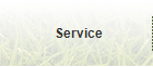 Service